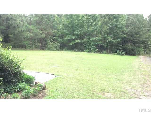 561 George Sherman Road Rougemont, NC 27572 - Photo 19 of 24 Huge front lawn with great soils.
