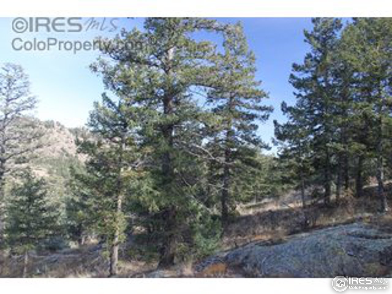 64 Elk Road Lyons, CO 80540 - Photo 11 of 25 Gallery Image 11