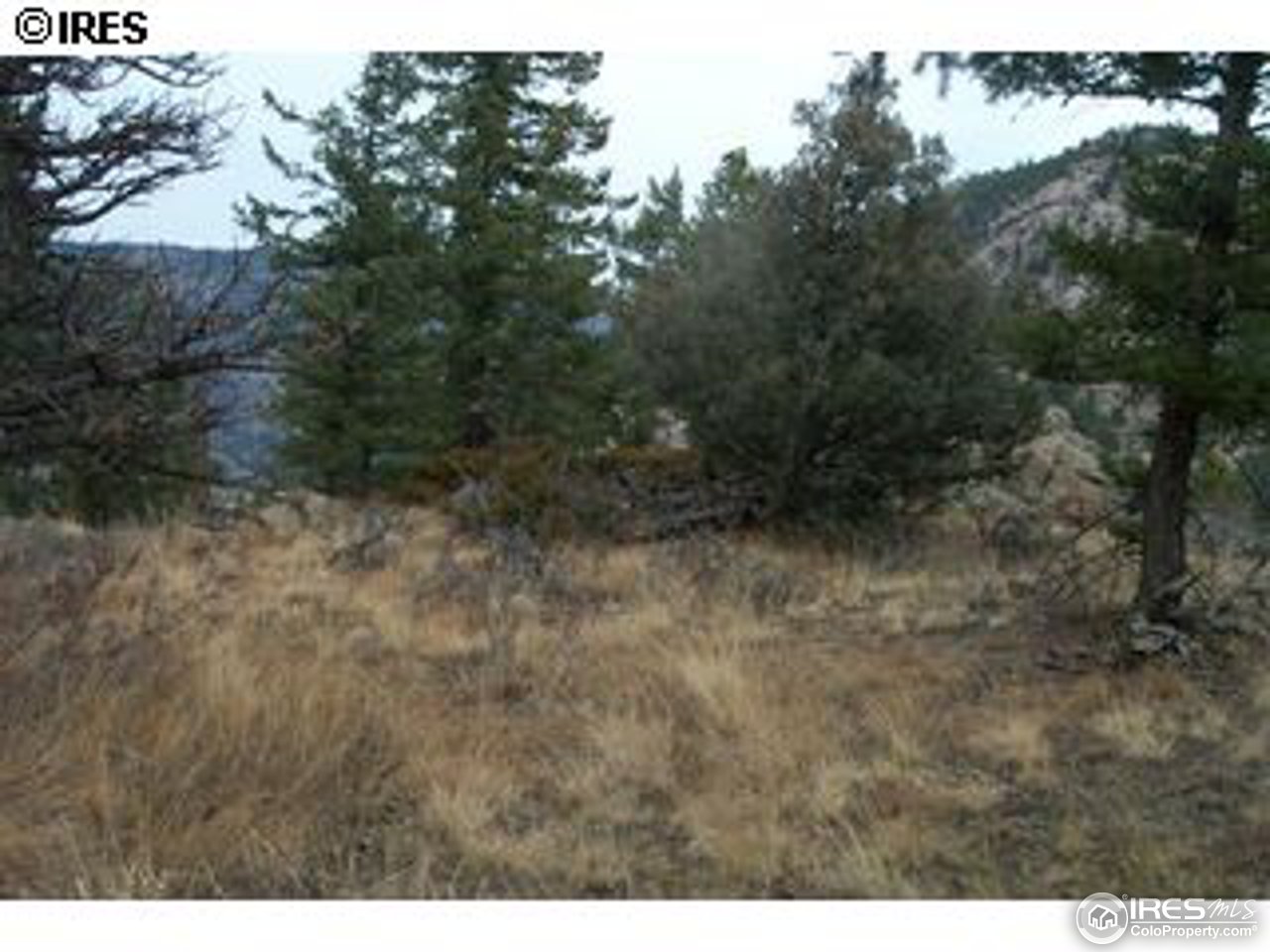 64 Elk Road Lyons, CO 80540 - Photo 16 of 25 Gallery Image 16