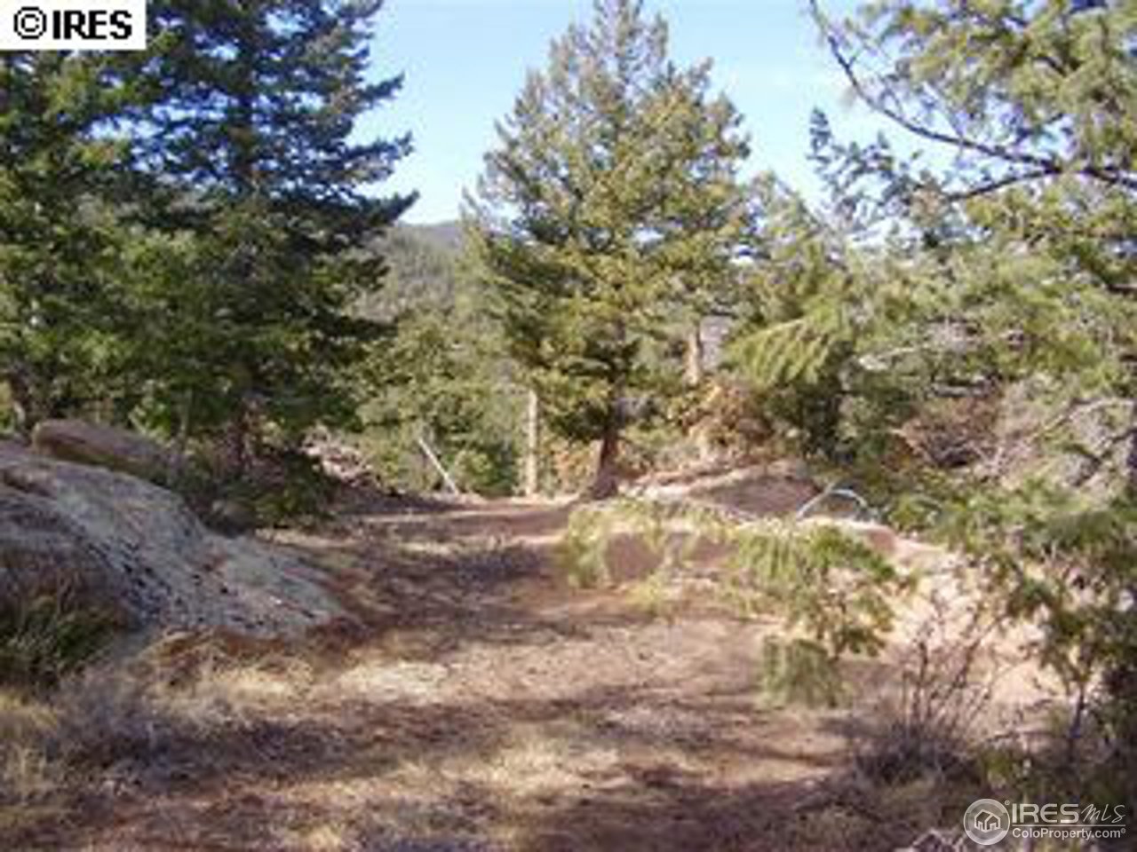64 Elk Road Lyons, CO 80540 - Photo 17 of 25 Gallery Image 17