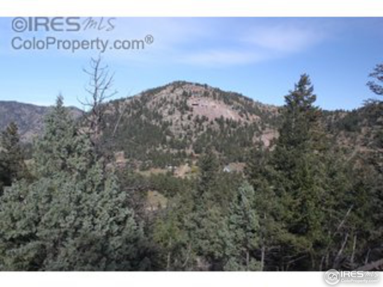 64 Elk Road Lyons, CO 80540 - Photo 7 of 25 Gallery Image 7