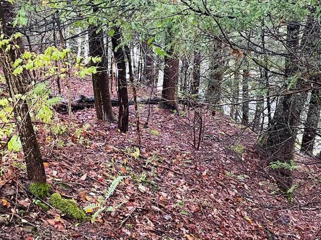 0 Kinzua Road Warren, PA 16365 - Photo 11 of 16 Gallery Image 11