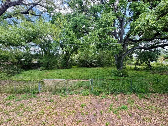 a view of a park with large trees