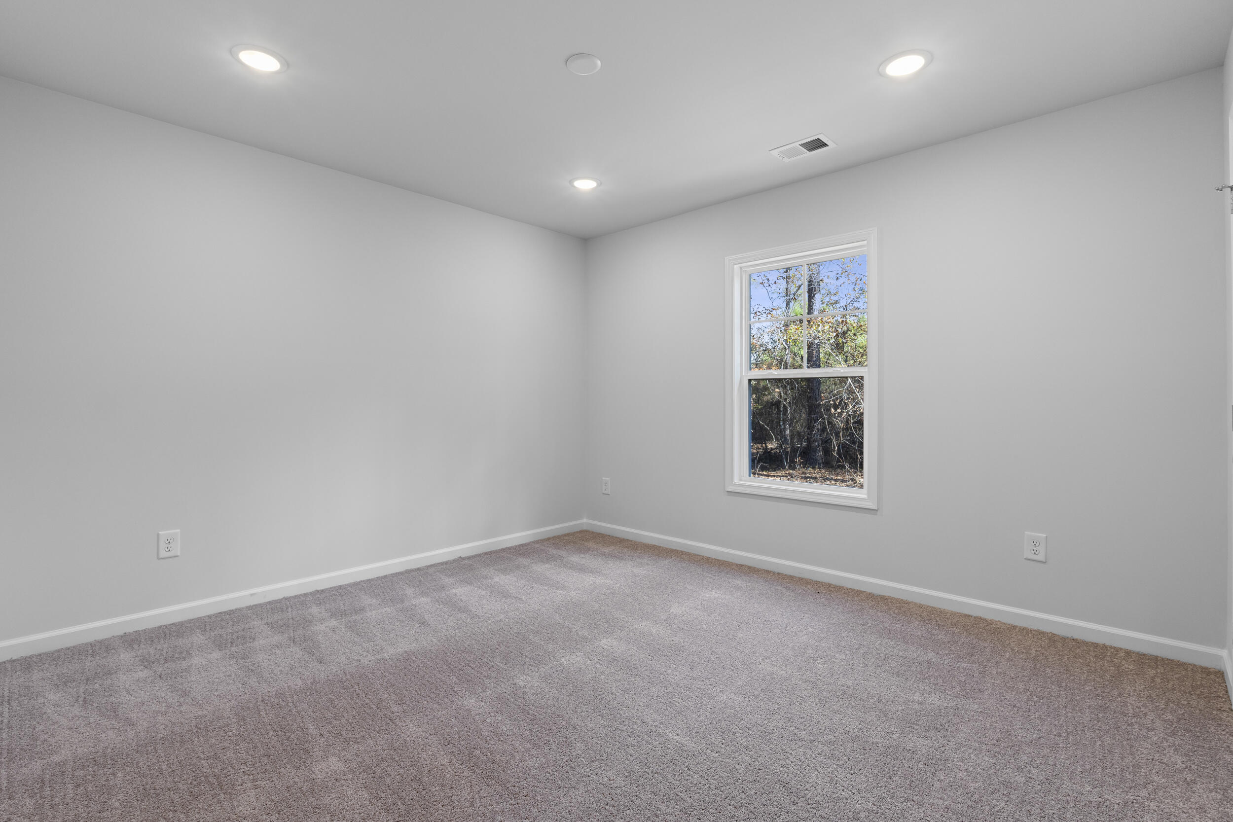 1119 Fox Young Road Wagener, SC 29164 - Photo 16 of 23