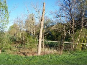 706 Stout Road Mountain City, TN 37683 - Photo 4 of 8 Photo 4