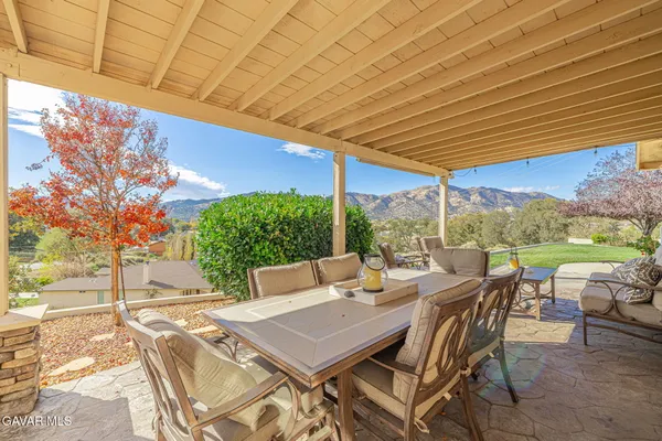 a backyard of a house with plants and large tree