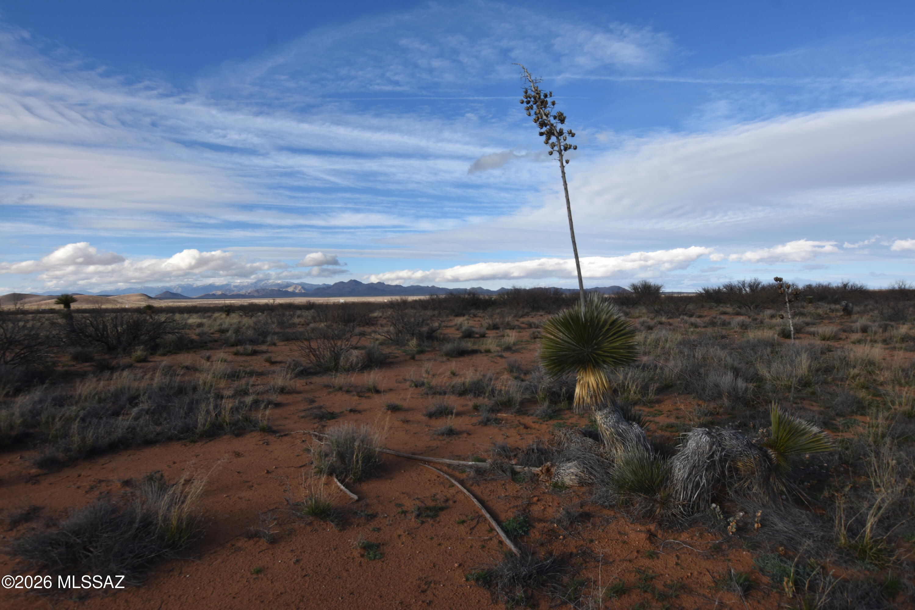 East Howling Wolf Road Willcox, AZ 85643 - Photo 8 of 49