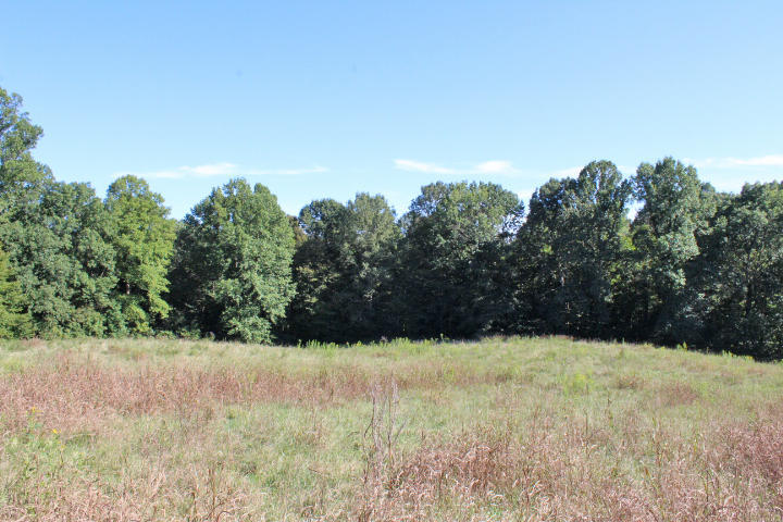 859 Rumbo Road Jamestown, KY 42629 - Photo 141 of 186 141