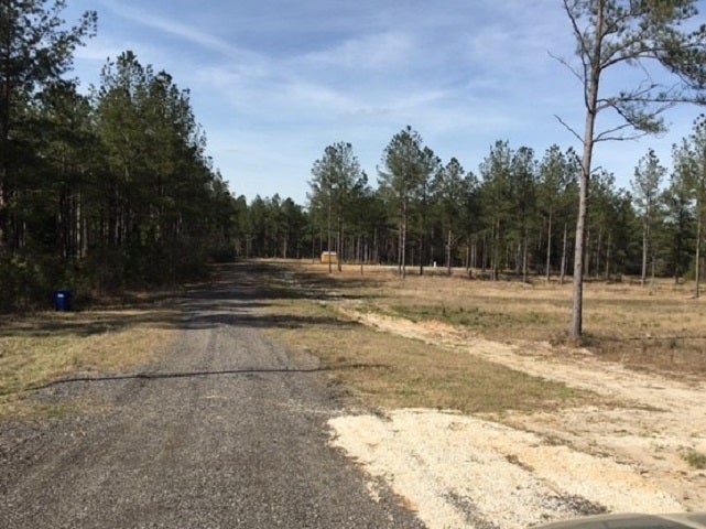 27818 Harbor Road Andalusia, AL 36421 - Photo 1 of 5 Gallery Image 1