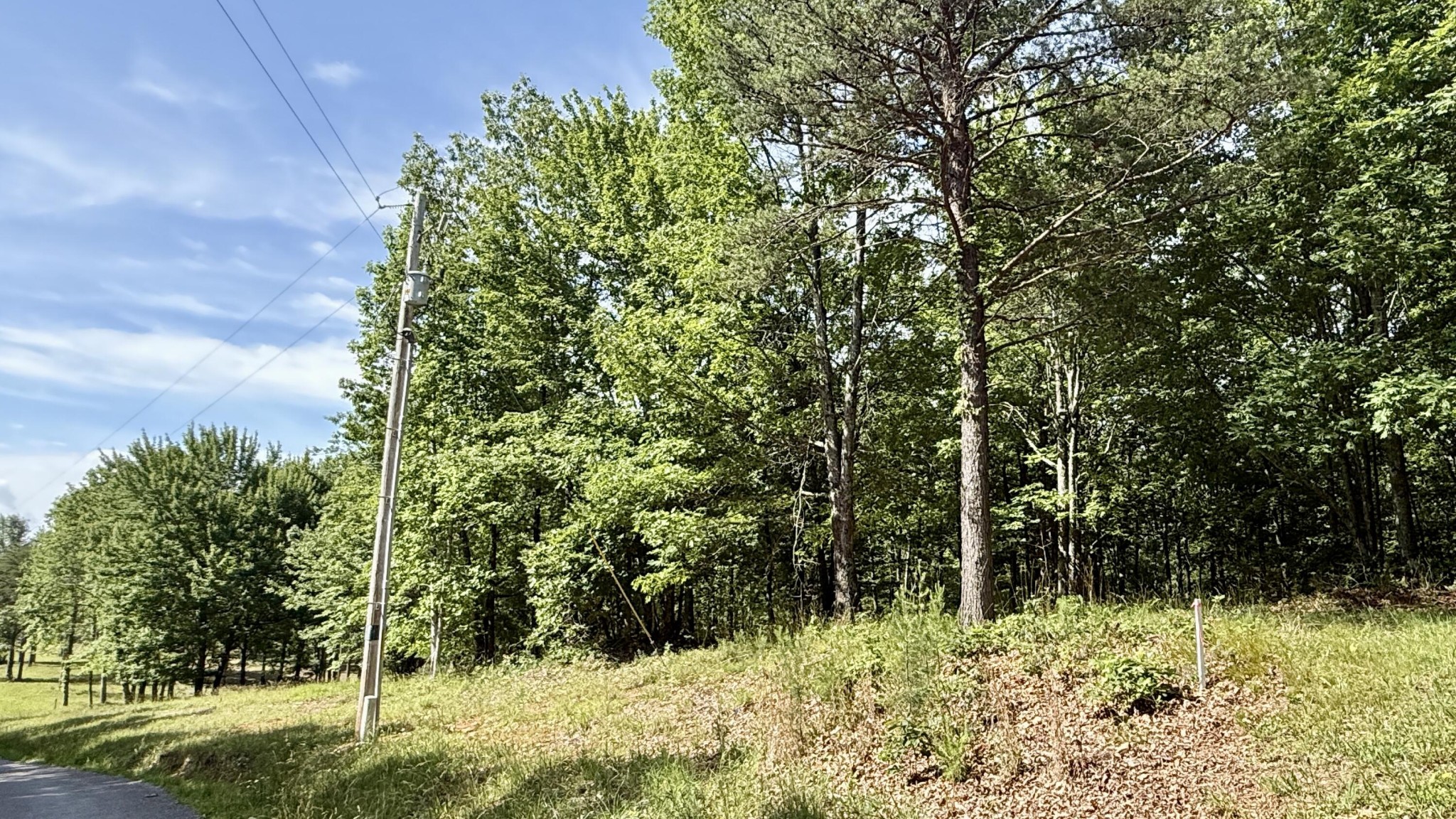 6 Hobbstown Road Dunlap, TN 37327 - Photo 13 of 22 Gallery Image 13