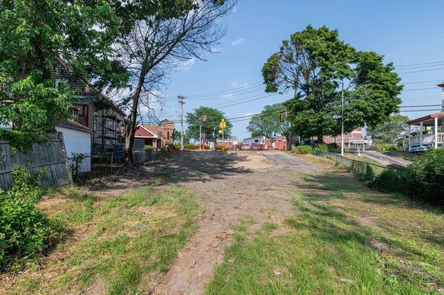a view of a yard with a tree