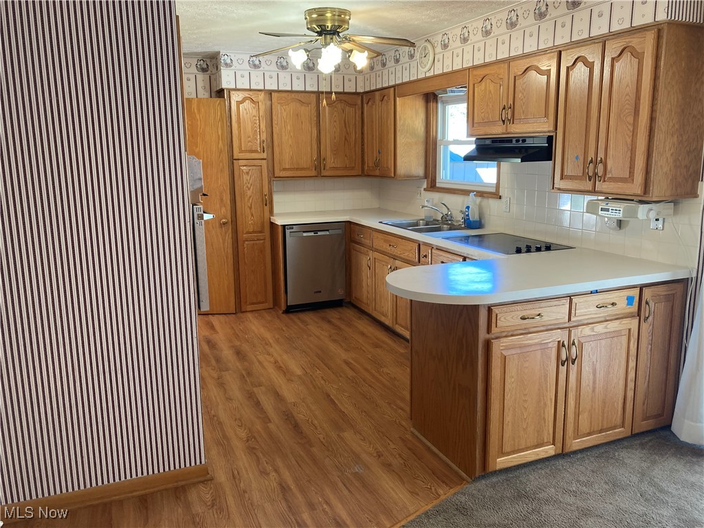 2547 Mayfair Road Akron, OH 44312 - Photo 10 of 50 Kitchen featuring light hardwood / wood-style floors, dishwasher, ventilation hood, black electric stovetop, and sink