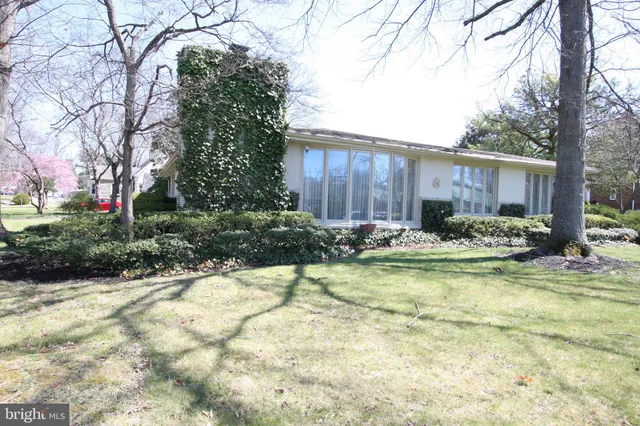a view of a backyard with plants and trees