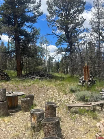 $160,000 | 522 Monarch Lane, Powderhorn, CO 81243