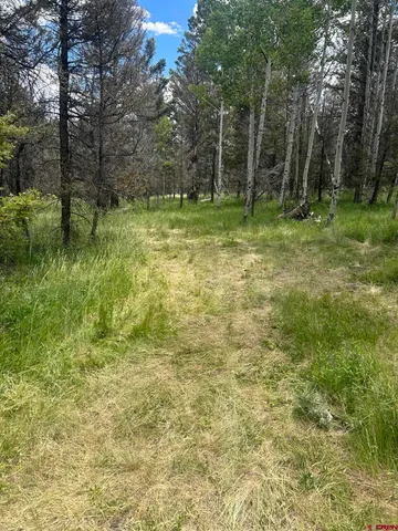 $160,000 | 522 Monarch Lane, Powderhorn, CO 81243