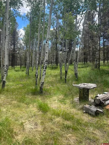 $160,000 | 522 Monarch Lane, Powderhorn, CO 81243