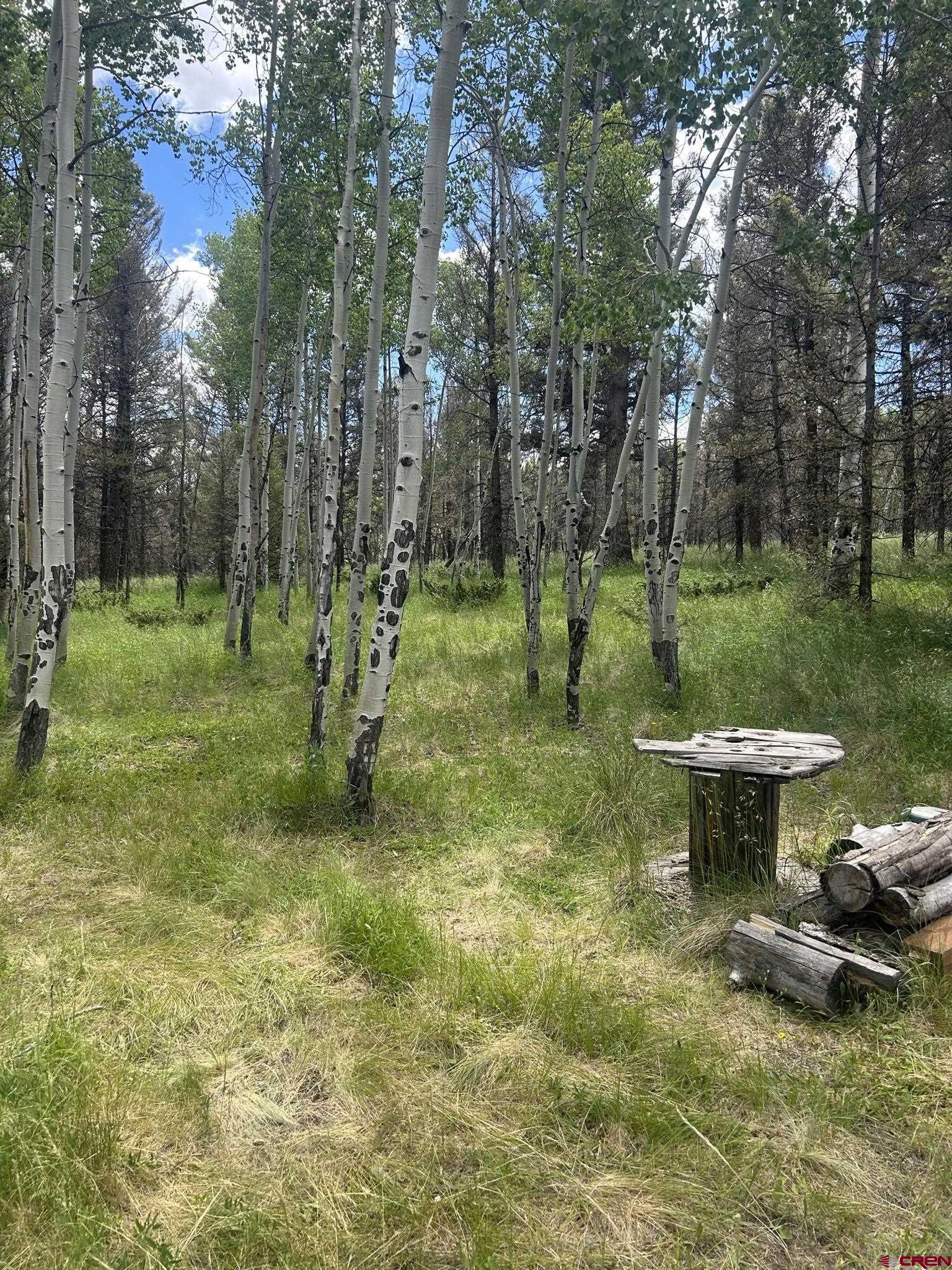 522 Monarch Lane Powderhorn, CO 81243 - Photo 13 of 18