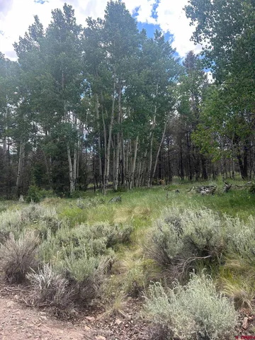 $160,000 | 522 Monarch Lane, Powderhorn, CO 81243