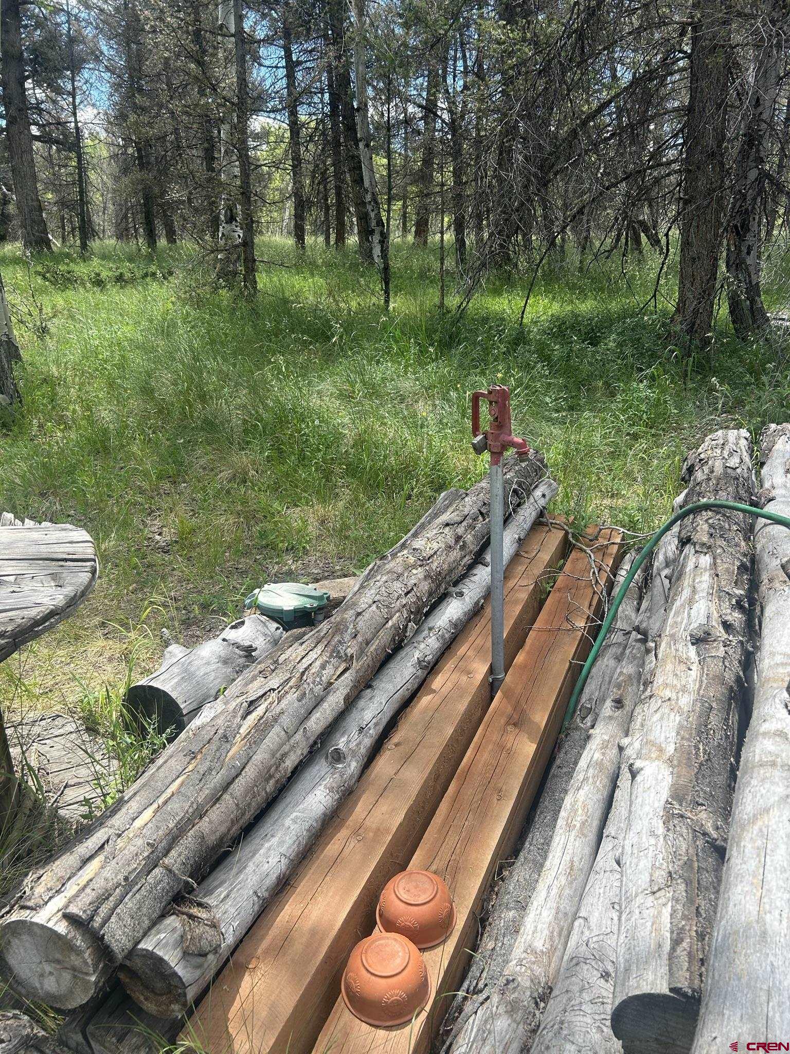 522 Monarch Lane Powderhorn, CO 81243 - Photo 3 of 18