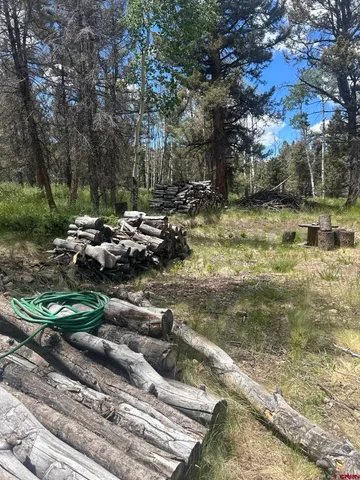 $160,000 | 522 Monarch Lane, Powderhorn, CO 81243