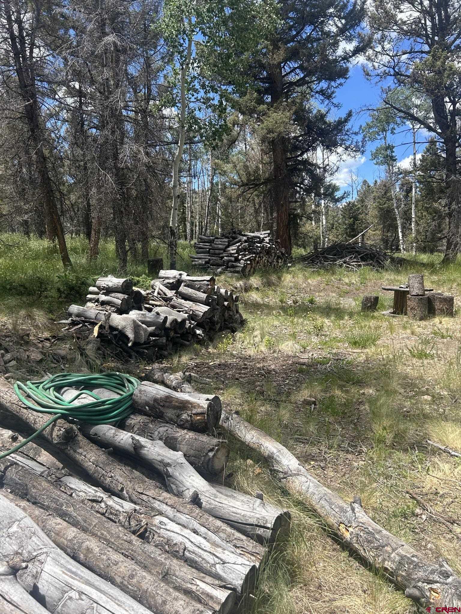 522 Monarch Lane Powderhorn, CO 81243 - Photo 4 of 18