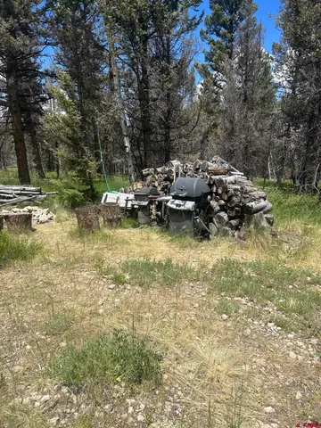 $160,000 | 522 Monarch Lane, Powderhorn, CO 81243