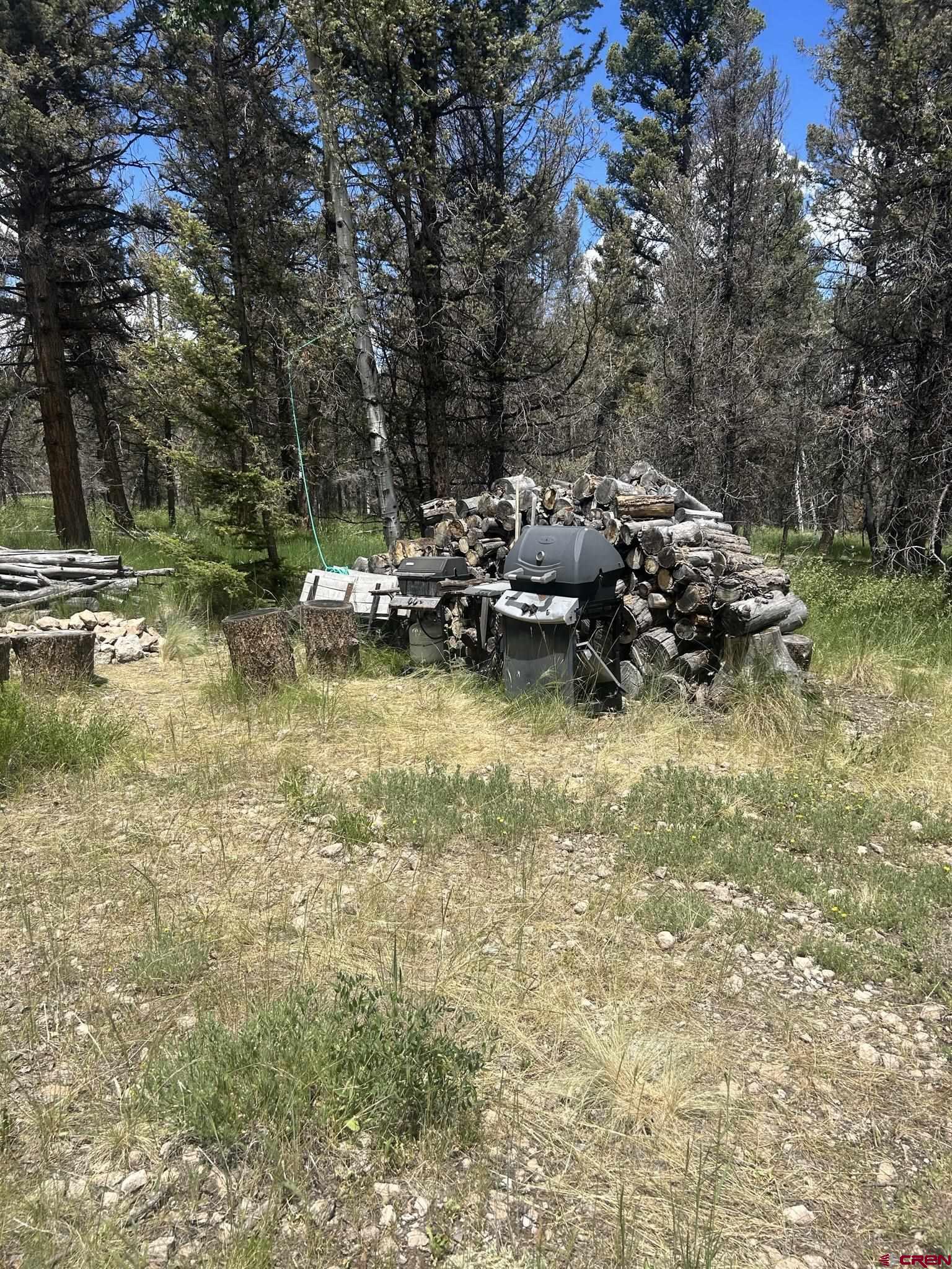 522 Monarch Lane Powderhorn, CO 81243 - Photo 5 of 18