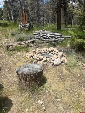 $160,000 | 522 Monarch Lane, Powderhorn, CO 81243