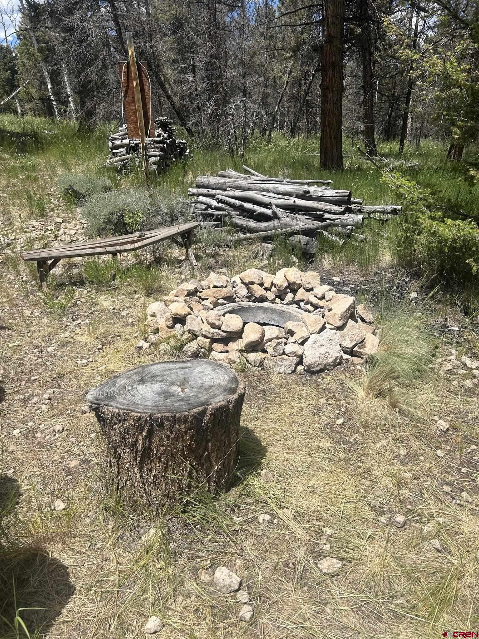 522 Monarch Lane Powderhorn, CO 81243 - Photo 6 of 18