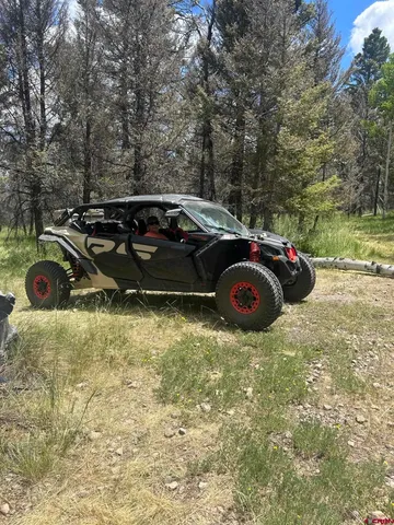 $160,000 | 522 Monarch Lane, Powderhorn, CO 81243