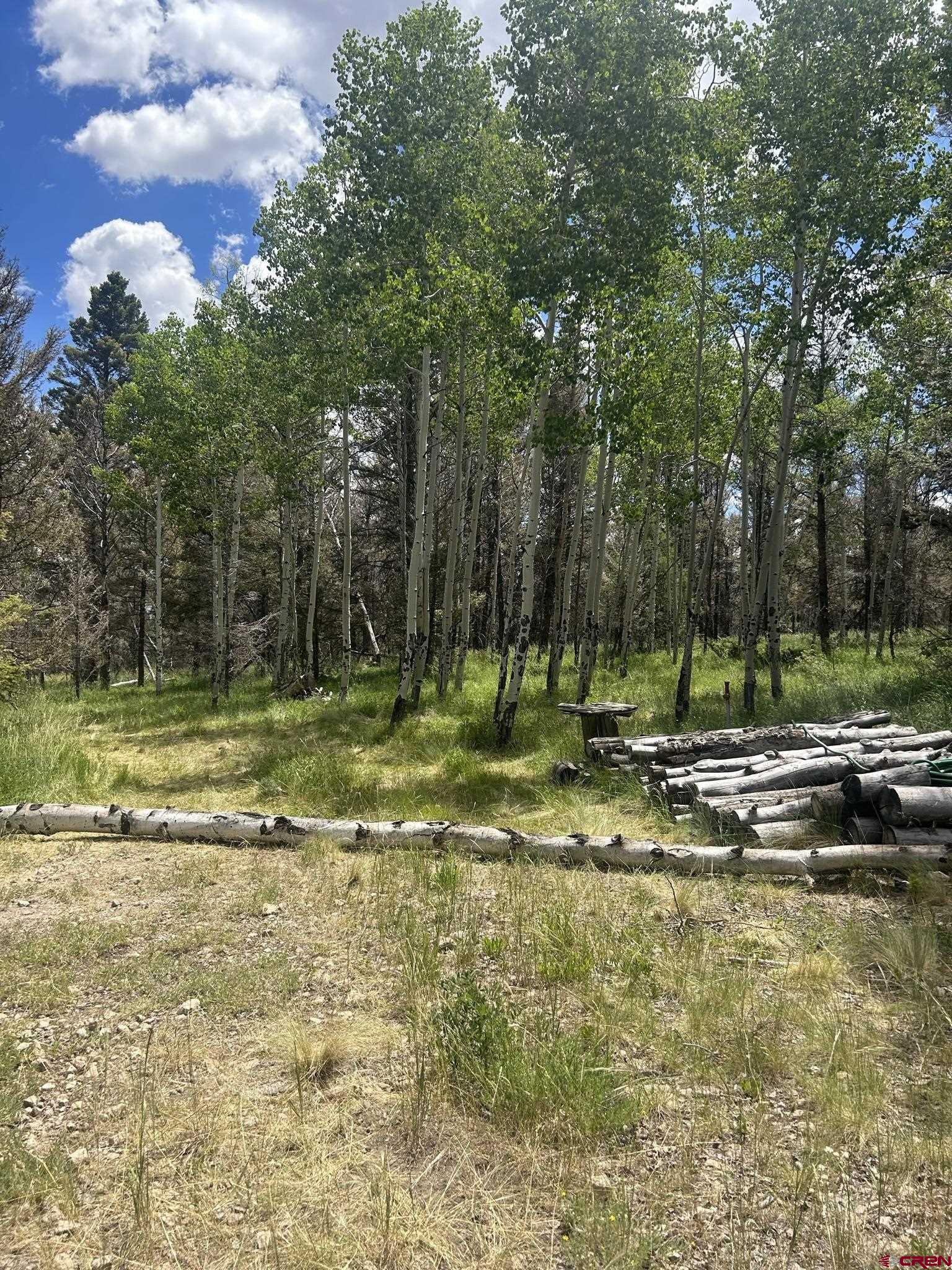 522 Monarch Lane Powderhorn, CO 81243 - Photo 8 of 18