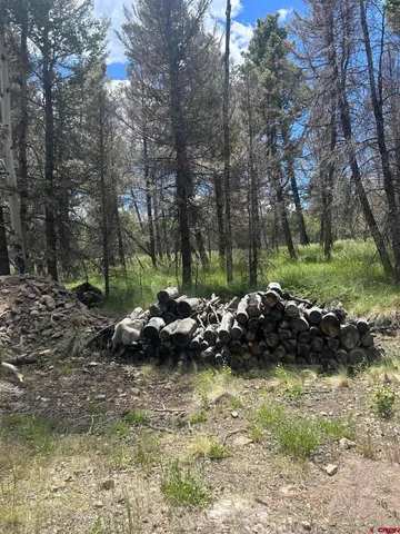 $160,000 | 522 Monarch Lane, Powderhorn, CO 81243