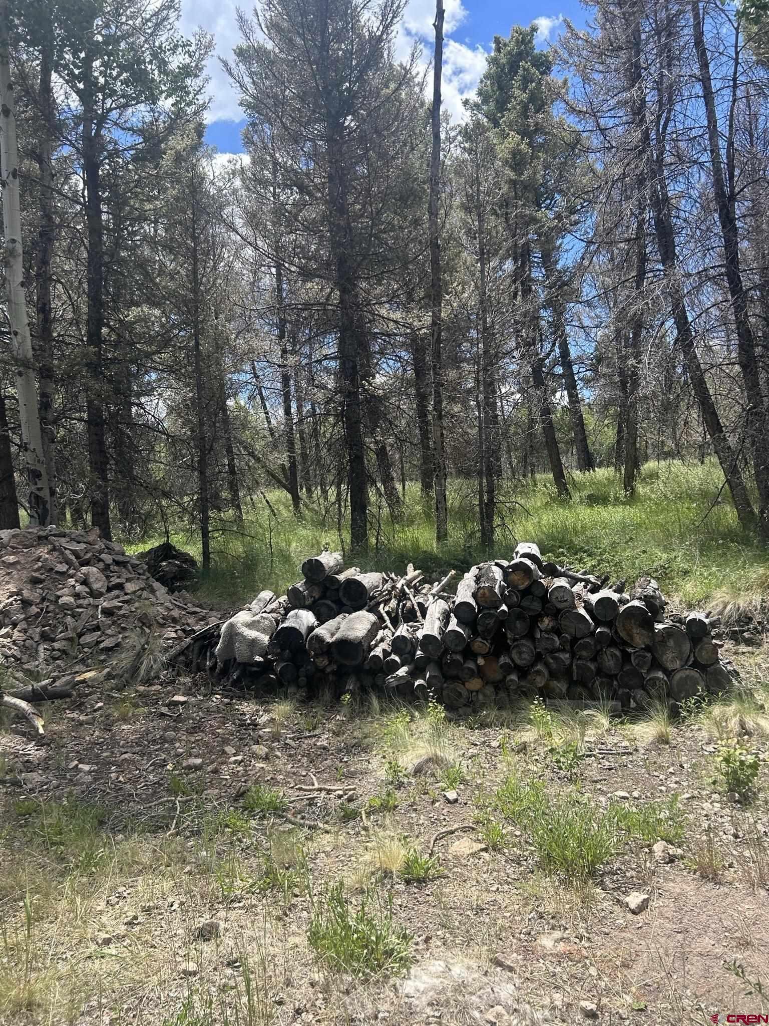 522 Monarch Lane Powderhorn, CO 81243 - Photo 9 of 18