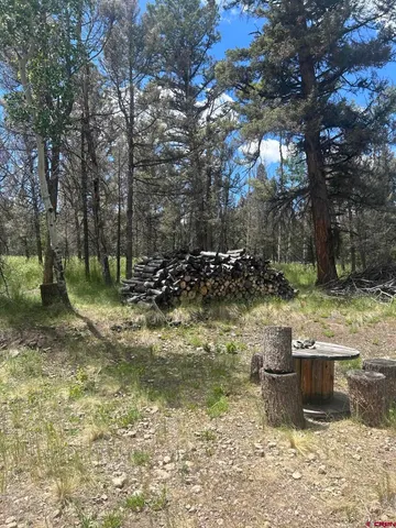 $160,000 | 522 Monarch Lane, Powderhorn, CO 81243