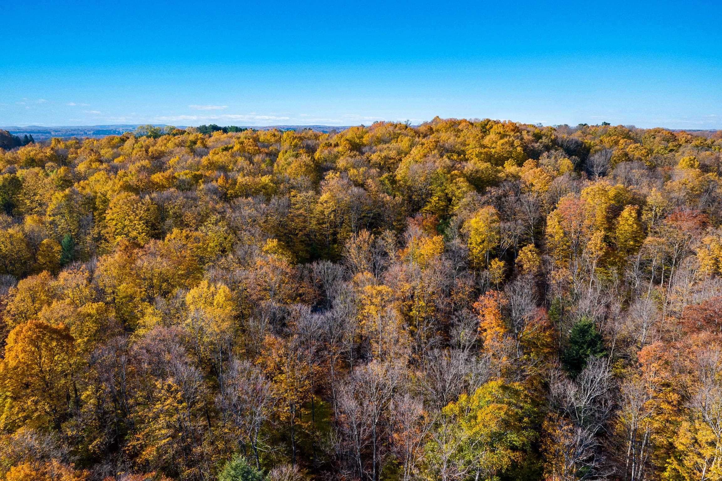 1452 Case Road Benzonia, MI 49616 - Photo 9 of 16