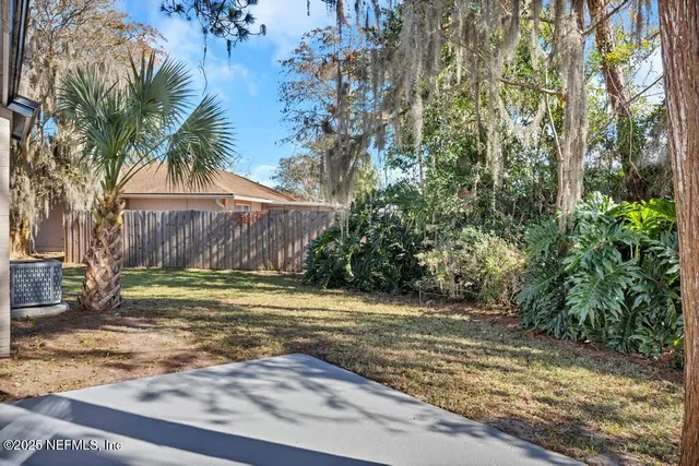 a view of a yard with plants and trees