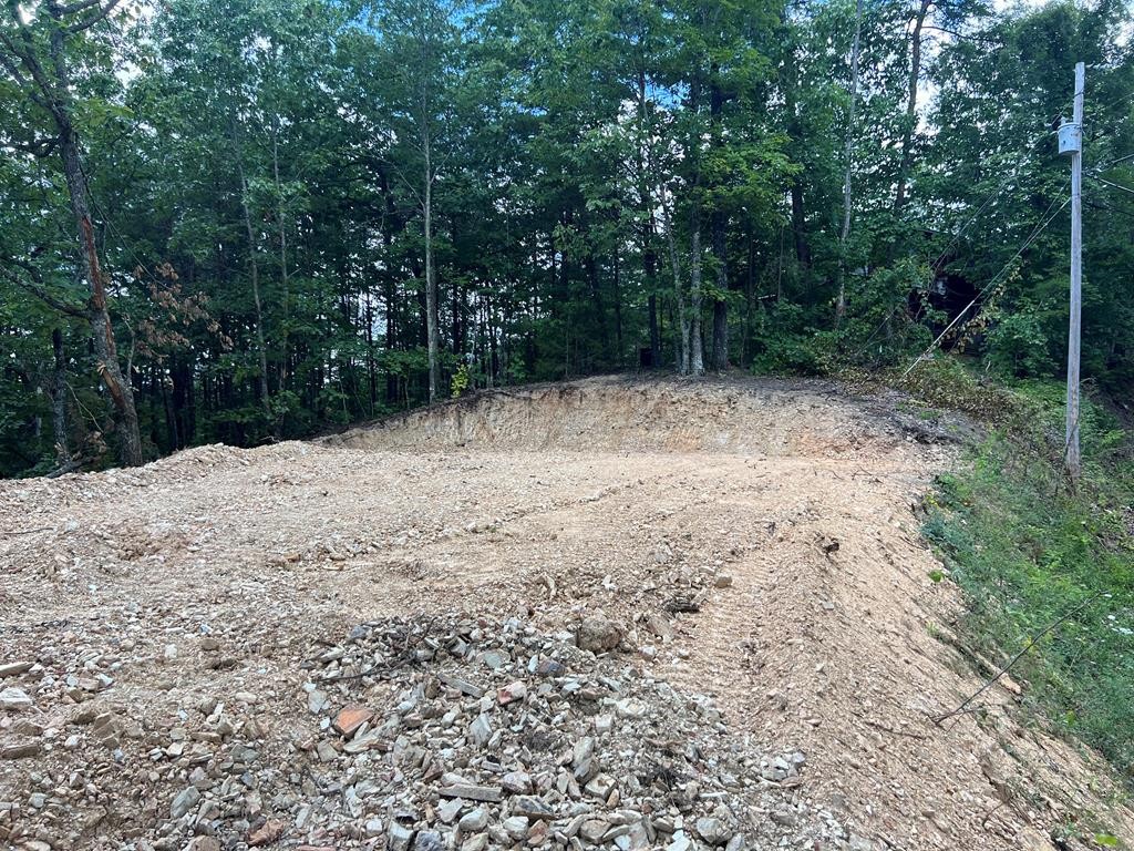861 Lloyd Huskey Road Pigeon Forge, TN 37863 - Photo 7 of 9