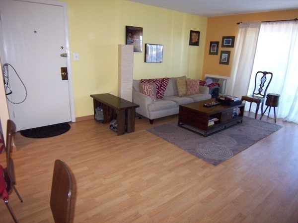 36 Bellvista Road, Unit 35 Boston, MA 02135 - Photo 3 of 19 Gallery Image 3
