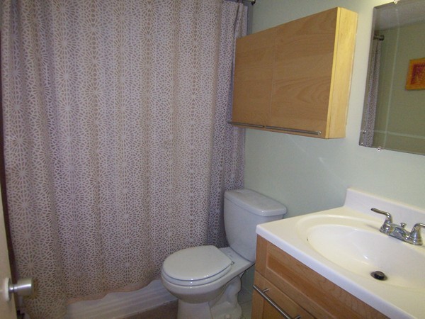 36 Bellvista Road, Unit 35 Boston, MA 02135 - Photo 7 of 19 Gallery Image 7