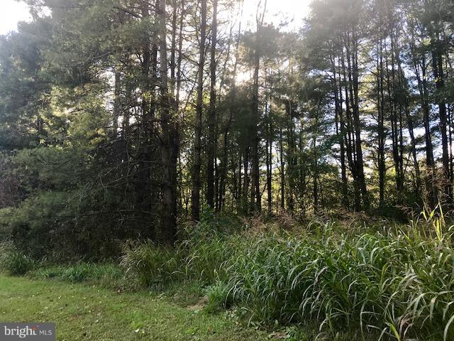 Black Hill Road Rixeyville, VA 22737 - Photo 14 of 17 Exterior (General)