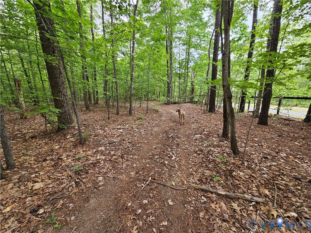 981 Scotts Bottom Road Dillwyn, VA 23936 - Photo 57 of 73 Gallery Image 57