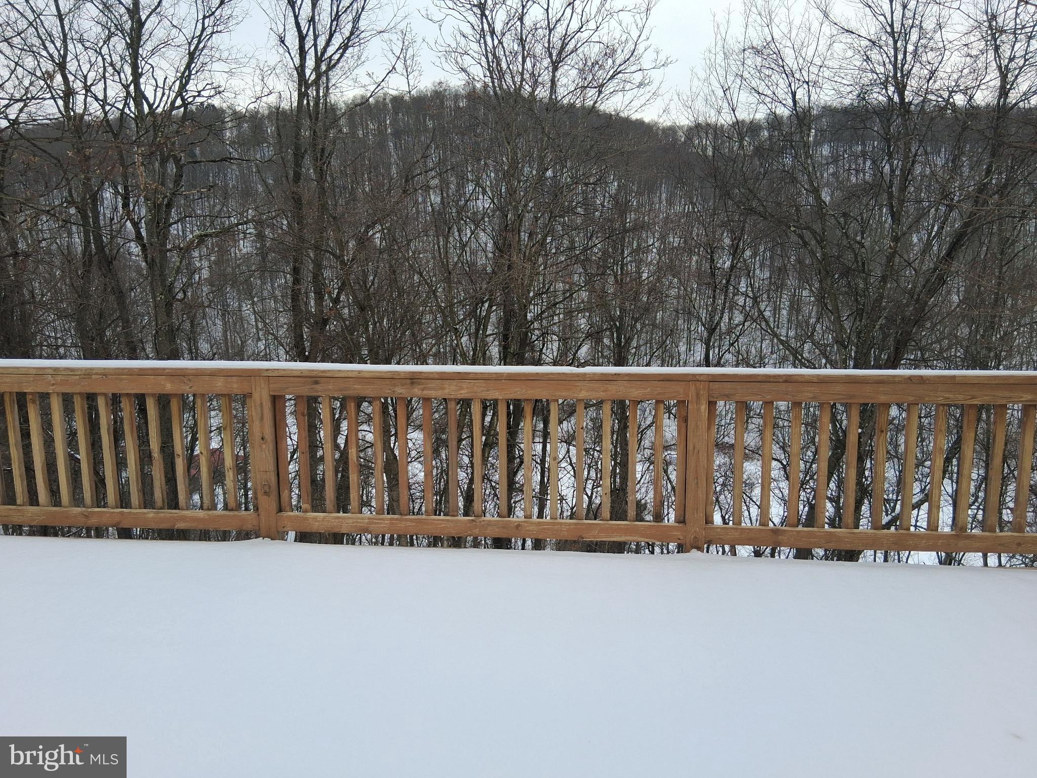 265 View Street Johnstown, PA 15902 - Photo 16 of 64 Deck picture #3.
