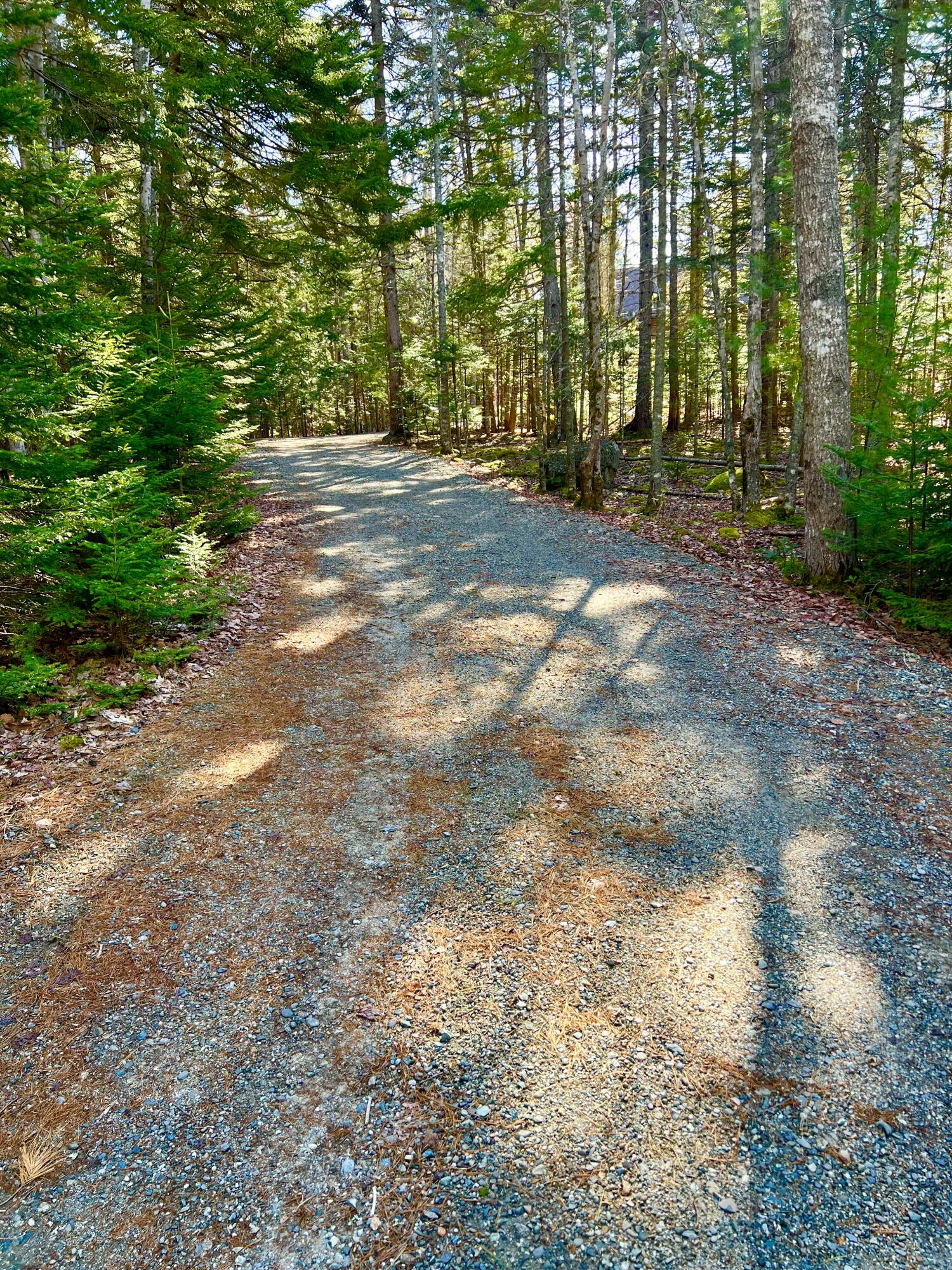 82 Beech Hill Road Mount Desert, ME 04660 - Photo 39 of 58 Driveway