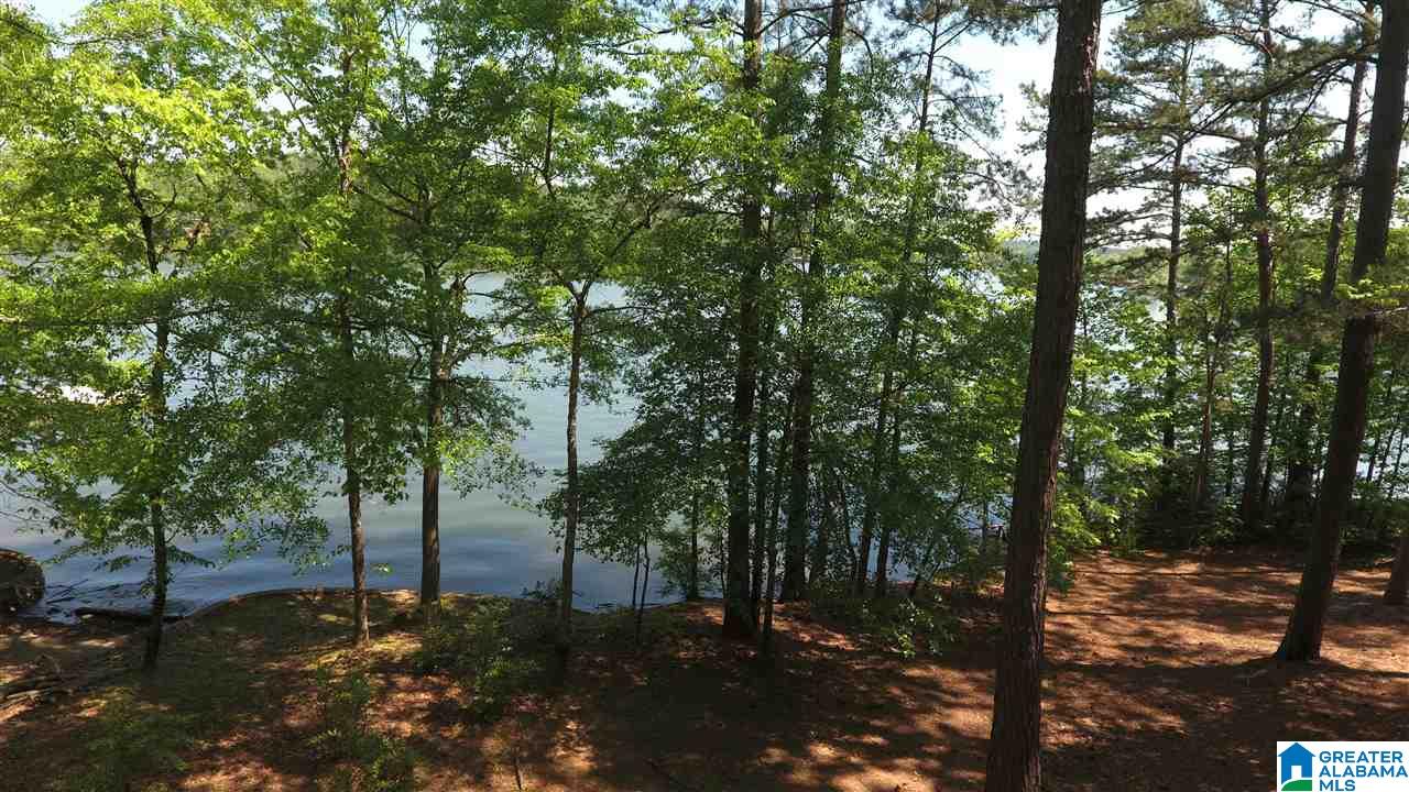 112 River Point Drive Wedowee, AL 36278 - Photo 4 of 15