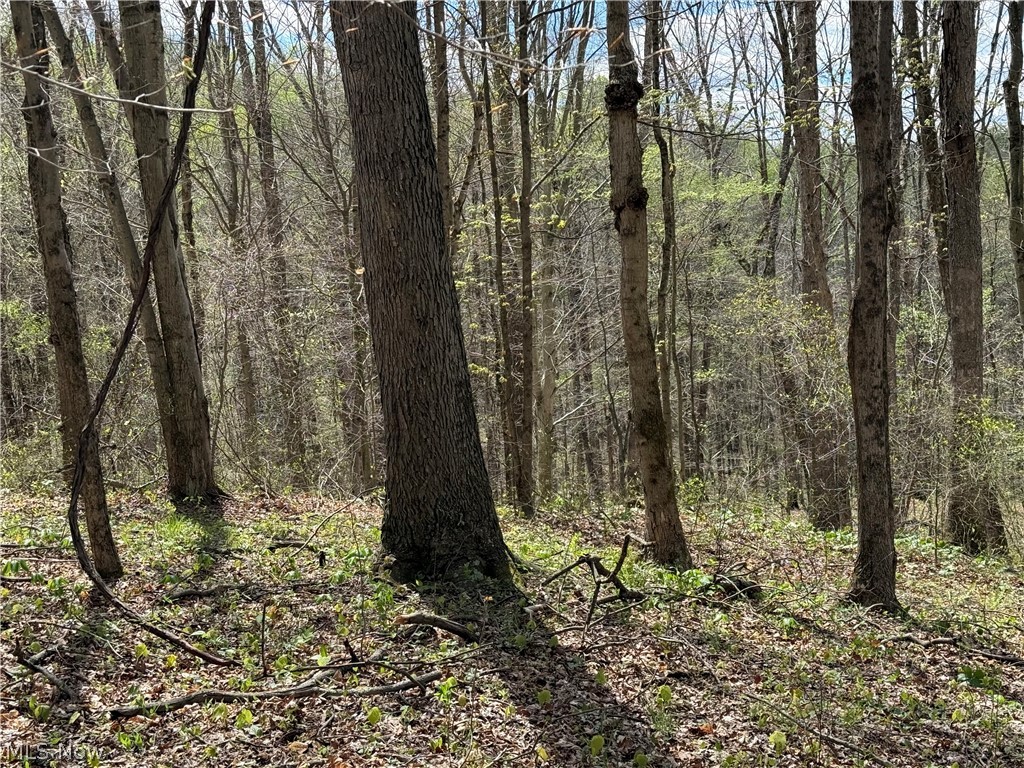 Plainview Road Woodsfield, OH 43793 - Photo 17 of 20