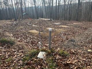 214 Gray Creek Road Graysville, TN 37338 - Photo 14 of 64 IMG_3617