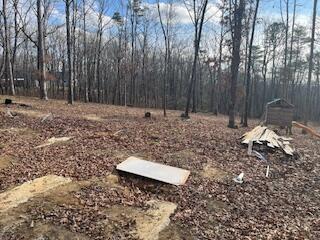 214 Gray Creek Road Graysville, TN 37338 - Photo 17 of 64 IMG_3620