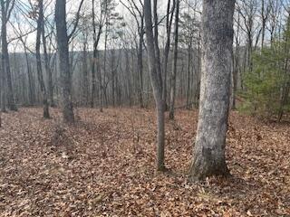 214 Gray Creek Road Graysville, TN 37338 - Photo 19 of 64 IMG_3622