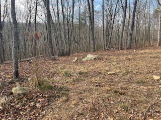 214 Gray Creek Road Graysville, TN 37338 - Photo 20 of 64 IMG_3623