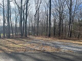 214 Gray Creek Road Graysville, TN 37338 - Photo 2 of 64 IMG_3604 (1)